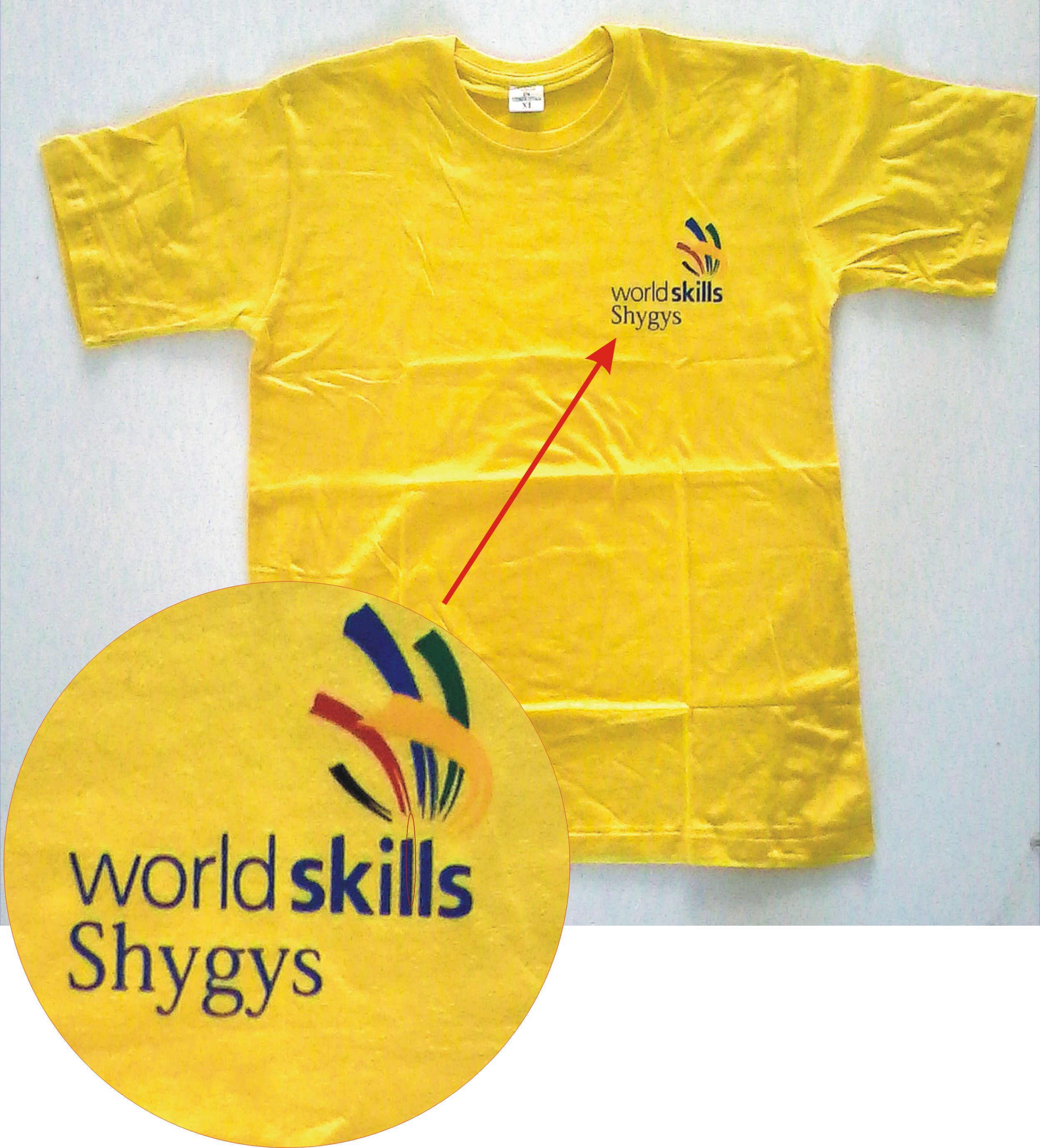  World Skills Shygys 